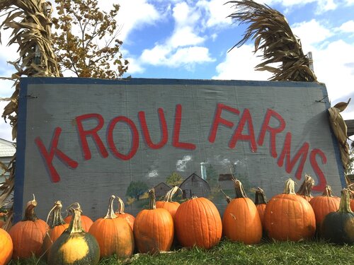 Pumpkin Patches